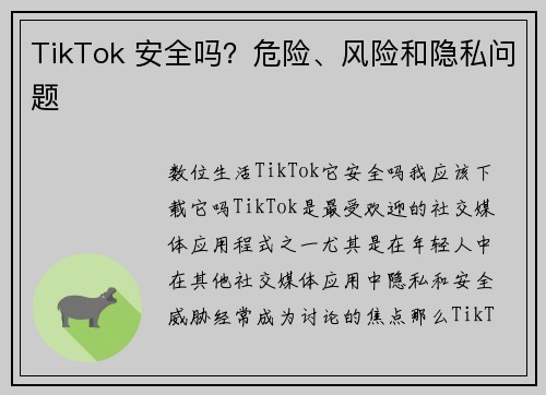 TikTok 安全吗？危险、风险和隐私问题